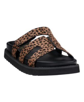 GC Shoes