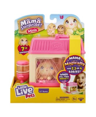 Little Live Pets