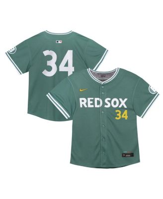Nike - Toddler David Ortiz Green Boston Red Sox 2025 City Connect Limited Retired Player Jersey