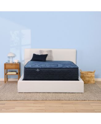 Serta - Perfect Sleeper Euphoric Nights 14" Firm Hybrid Mattress Set, Queen Split